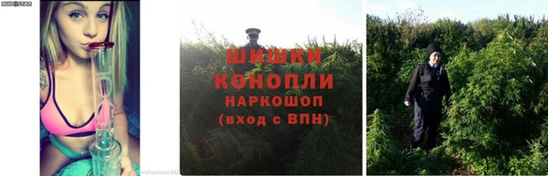 герыч Алагир