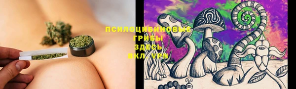 apvp Мегион