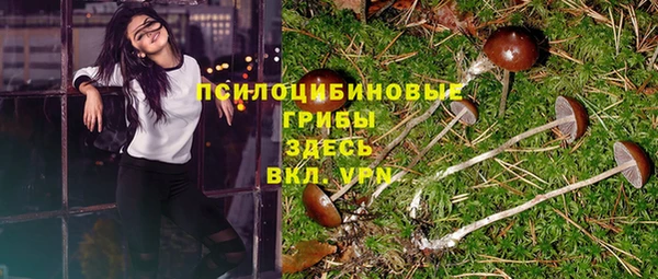 apvp Мегион