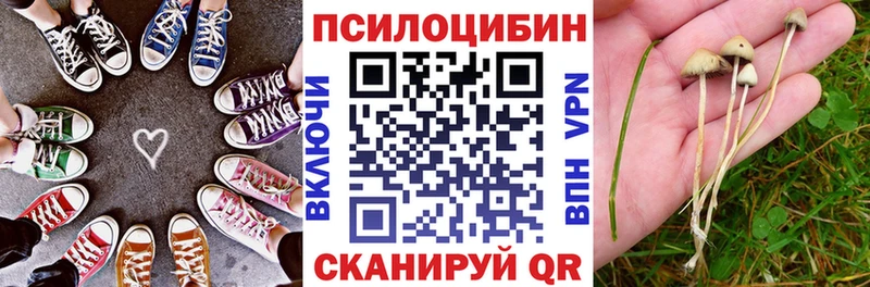 хочу наркоту  Чёрмоз  Псилоцибиновые грибы Psilocybine cubensis 