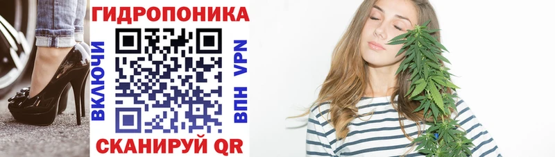 Каннабис конопля Чёрмоз